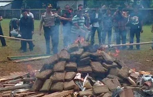 Police mistakenly get residents high after burning 3 tons of marijuana