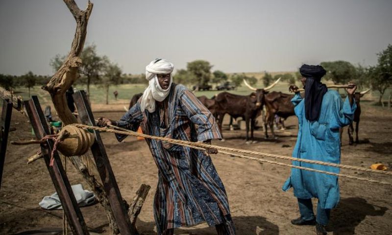 The impact of climate change has caused conditions in northern Nigeria to worsen
