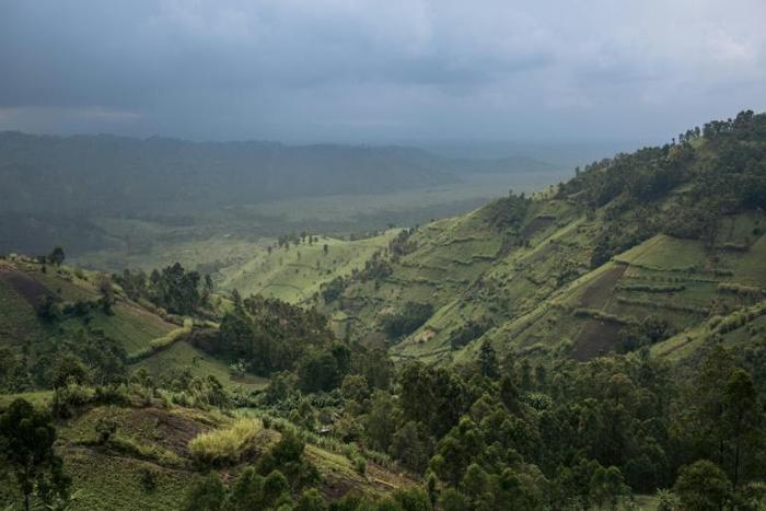 Crops border Virunga National Park in DR Congo, where the goverment faces a daunting challenge to protect the rainforest