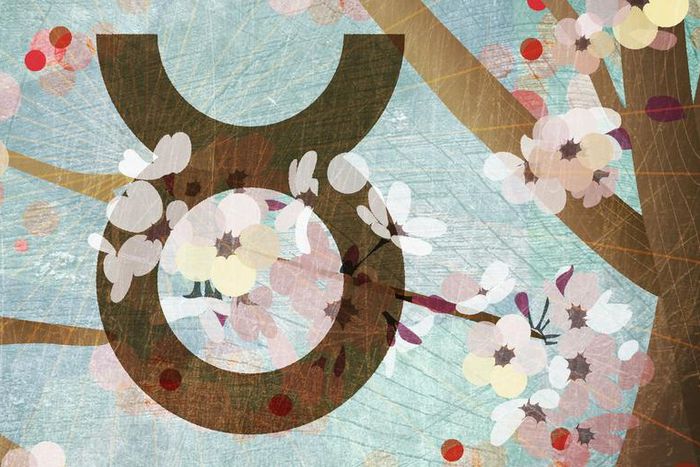 What Taurus Season Means For Your Zodiac Sign