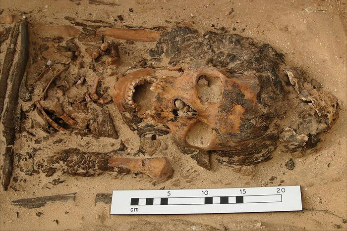 Head Cones in Ancient Egyptian Graves Cap Archaeological Debate
