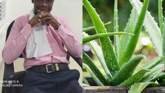 I have the cure for Coronavirus; it’s Aloe Vera - Samuel Gyimah claims
