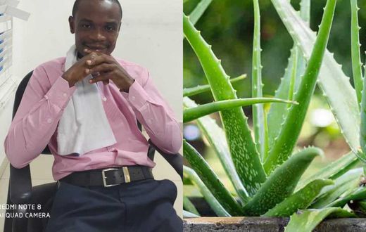 I have the cure for Coronavirus; it’s Aloe Vera - Samuel Gyimah claims