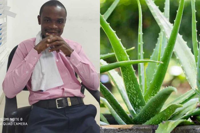 I have the cure for Coronavirus; it’s Aloe Vera - Samuel Gyimah claims