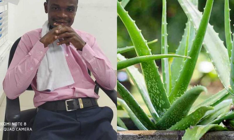I have the cure for Coronavirus; it’s Aloe Vera - Samuel Gyimah claims