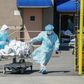 Bodies are moved to a refrigeration truck serving as a temporary morgue in New York, the main focus of the US outbreak, with more than 4,750 deaths