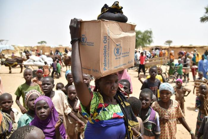 Hundreds of thousands of people in Diffa, southeastern Niger, depend on food handouts to survive (file picture)