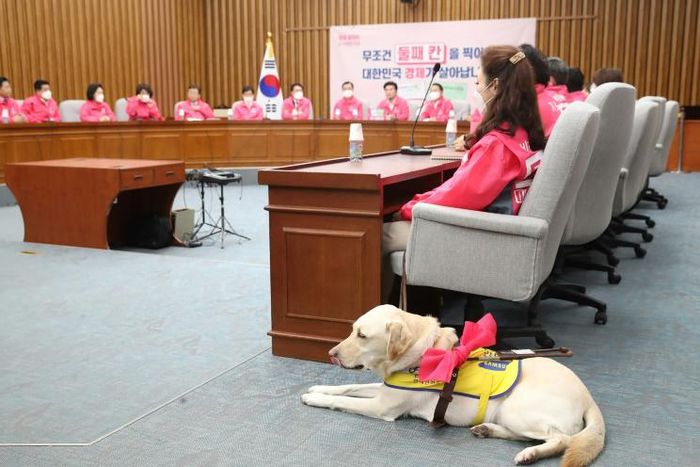 Kim Ye-ji and her guide dog Joy at a party meeting ahead of the parliamentary elections