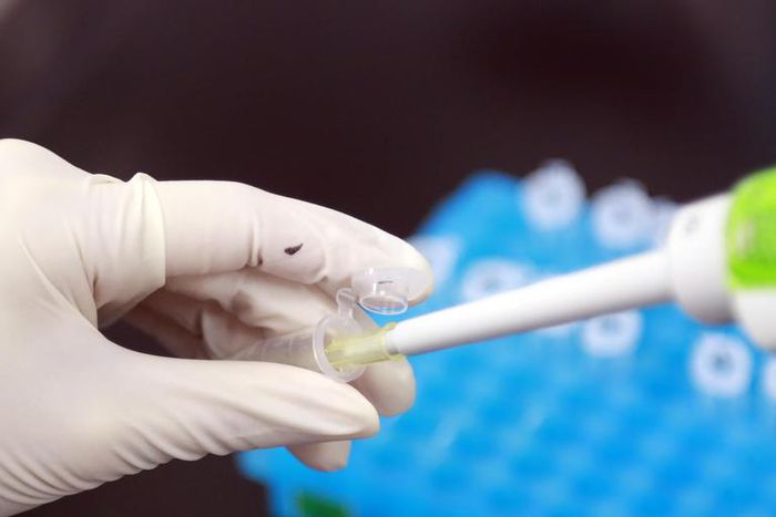 Will Antibody Tests Help End COVID-19?