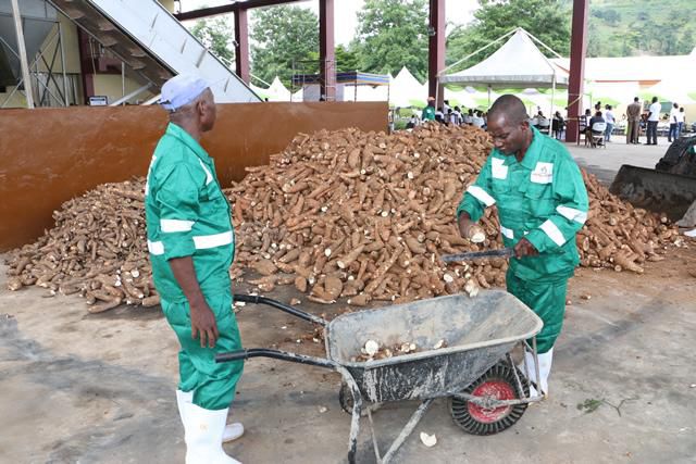 Ayensu starch factory