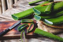 11 Ways to Get Rid of Mosquito Bites and Beat That Annoying Itch