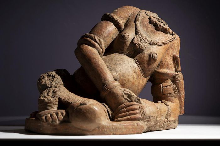 Wonders That Blossomed in the Desert