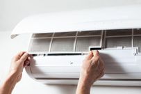 6 Easy Ways to Prevent Seasonal Allergies
