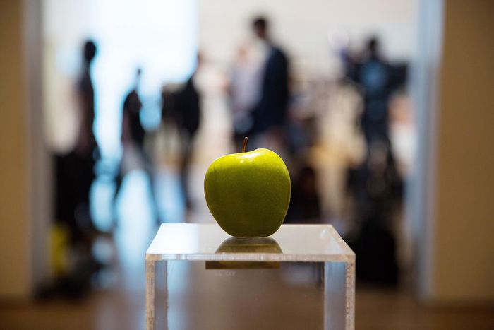 A (Grudging) Defense of the $120,000 Banana