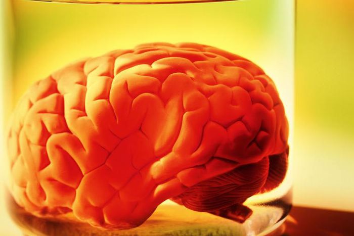 Dr. Pimple Popper Remove a Yellow 'Brain' Lipoma