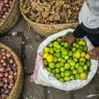 Sales of lemons, ginger, herbs and spices have soared in Madagascar, spurred by unfounded claims that natural brews will thwart coronavirus