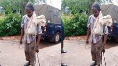 Boniface arrested and charged for defiling a dog while wearing condoms