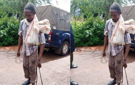 Boniface arrested and charged for defiling a dog while wearing condoms