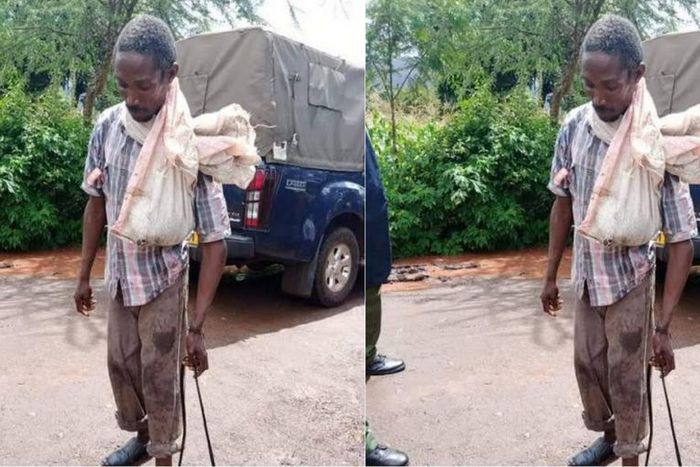 Boniface arrested and charged for defiling a dog while wearing condoms