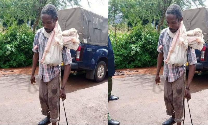 Boniface arrested and charged for defiling a dog while wearing condoms