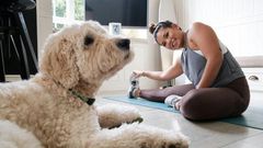 Singaporean Alison Yuen takes an online fitness class in her Hong Kong home, watched by her golden labradoodle Whelan