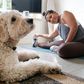 Singaporean Alison Yuen takes an online fitness class in her Hong Kong home, watched by her golden labradoodle Whelan