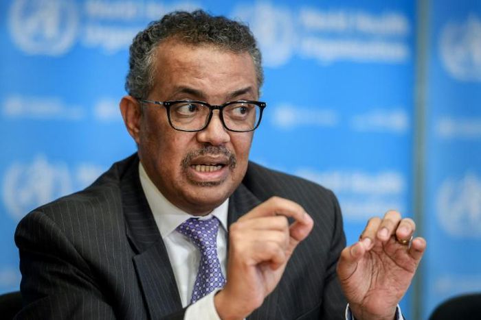 "We regret the decision of the president of the United States to order a halt in funding to the World Health Organization," WHO chief Tedros Adhanom Ghebreyesus (pictured March 2020) told a virtual news conference