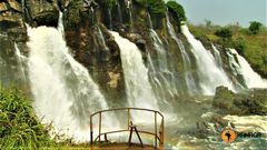 15 Interesting Facts About The Central African Republic You Didn’t Know