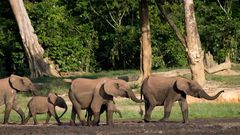 15 Interesting Facts About The Central African Republic You Didn’t Know