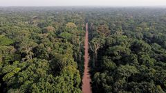 15 Interesting Facts About The Central African Republic You Didn’t Know
