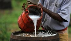 Here are 6 reasons why you should drink palm wine often