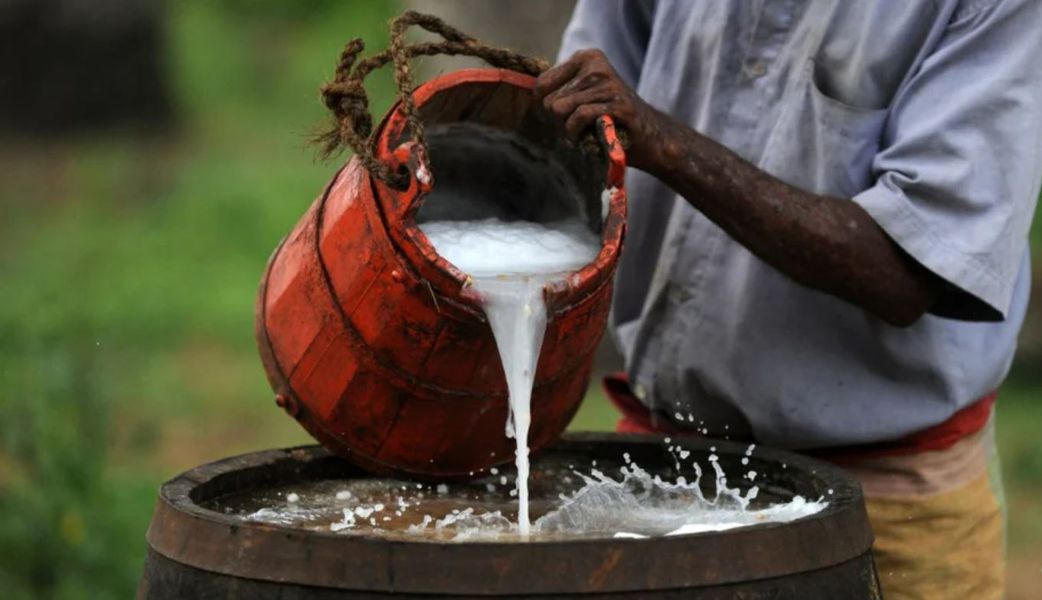 Here are 6 reasons why you should drink palm wine often