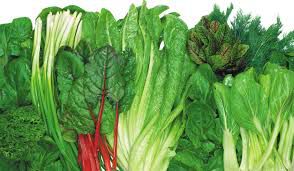 10 powerful foods for stronger, longer-lasting erections