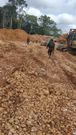 4 arrested, 10 equipment seized as anti-galamsey taskforce storms Tano Anwia Forest
