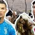 Ronaldo and Messi