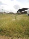 Berekum Golden City Park is in deplorable state (Pictures)