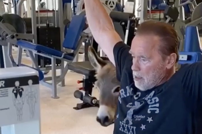 Arnold Schwarzenegger Shares Home Workout Video