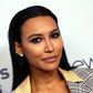 Naya Rivera is best known for her starring role in the hit TV series "Glee"