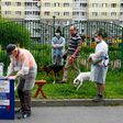 Makeshift polling stations popped up throughout the country last Thursday, when Russians started voting outdoors