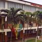 Education Ministry, GES close their offices for disinfection