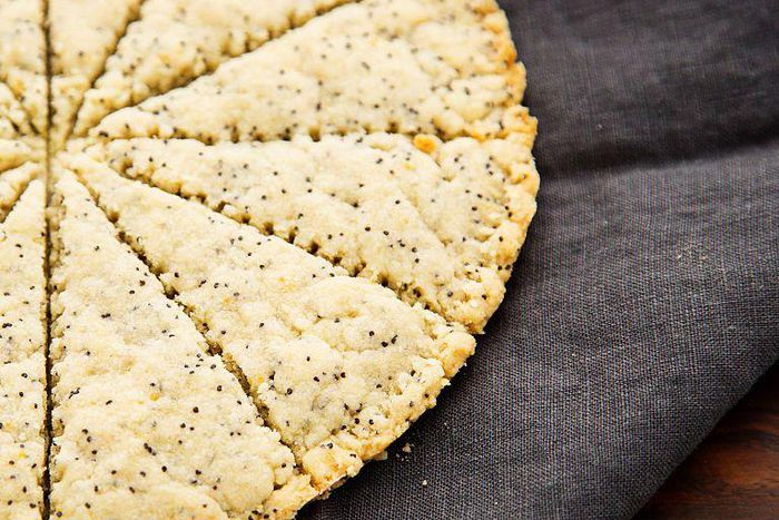 Dr. Pimple Popper Popped 'Hidden' Blackheads