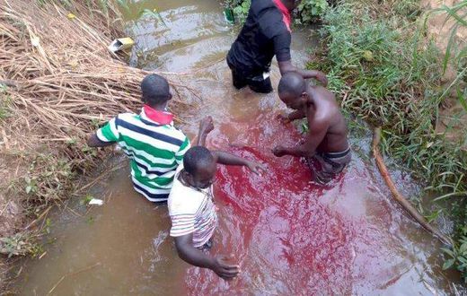 NPP members invoking curses