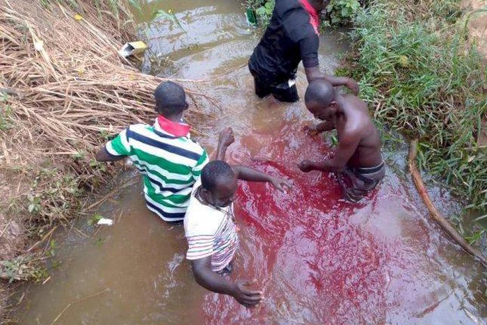 NPP members invoking curses