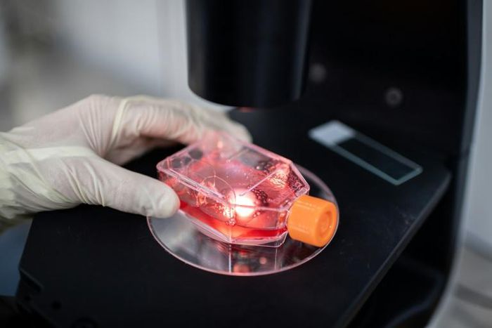 More than 100 prospective vaccines for coronavirus are in development