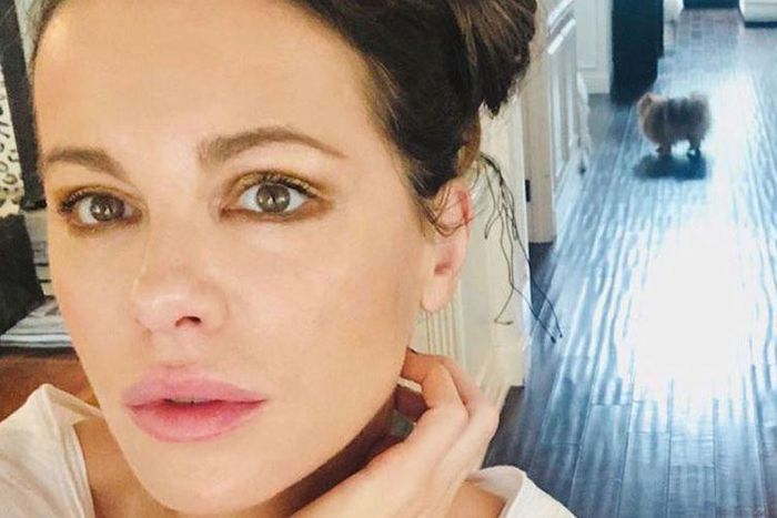 Watch Kate Do Yoga With Her Cat And Dog