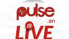 Pulse Africa