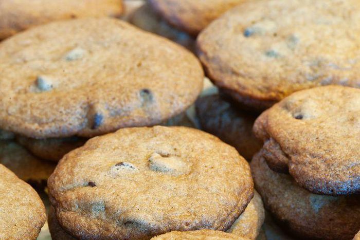 Dr. Pimple Popper Pops a Chocolate Chip Blackhead