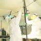 El Wak: COVID-19 patient delivers baby via caesarean section at isolation centre