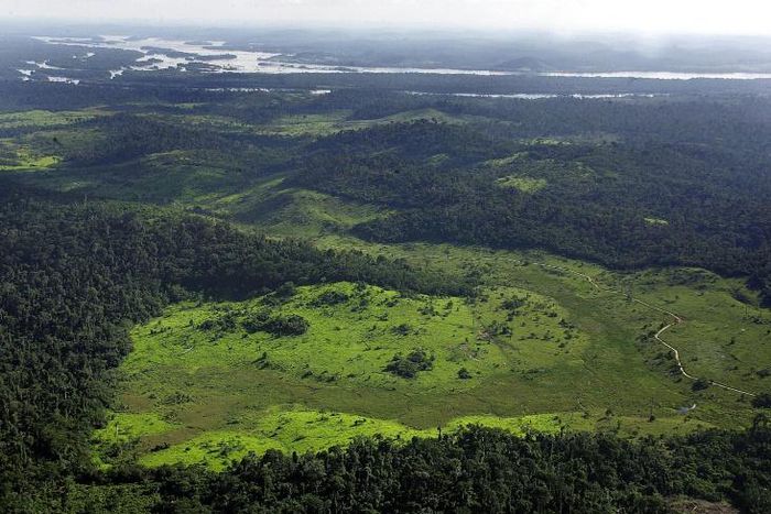 Overview of a deforested area in the border of Xingu river in northern Brazil