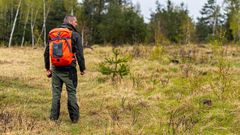 How to Know if You’ve Been Bitten by a Tick